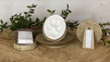 Pet Oval Impressions Kit
