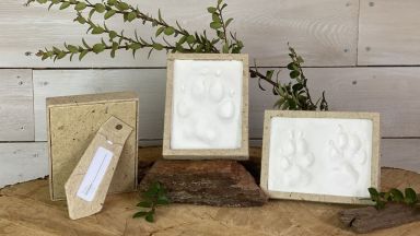 Large Pet Impressions Kit