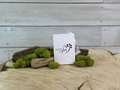 Lock of Fur Card