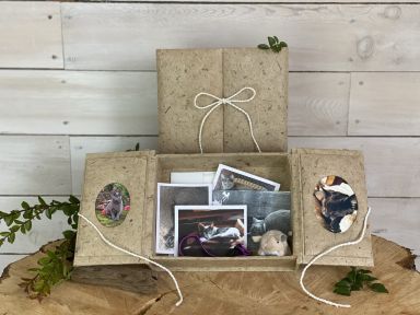 The Pet Memory Box